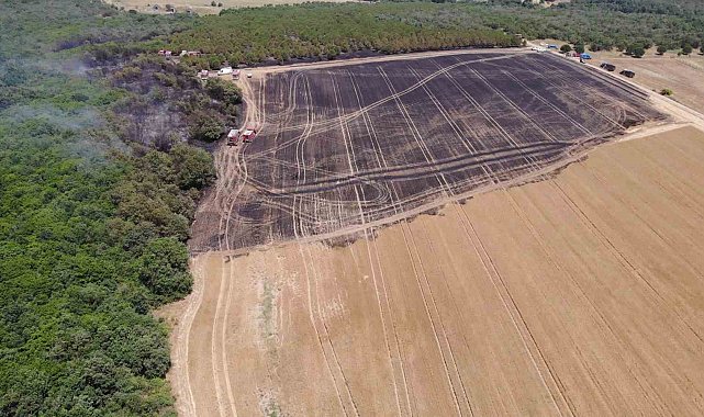 Silivri'de 80 dönümlük arazi, yangında zarar gördü