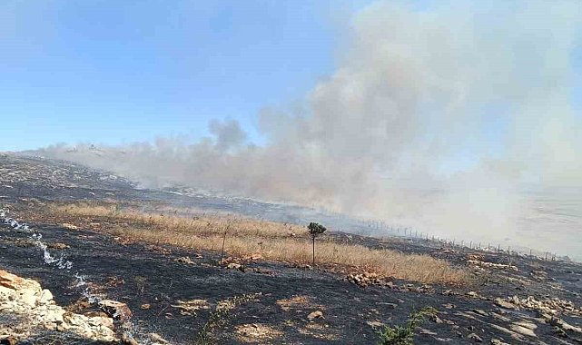 Silvan'da örtü yangını