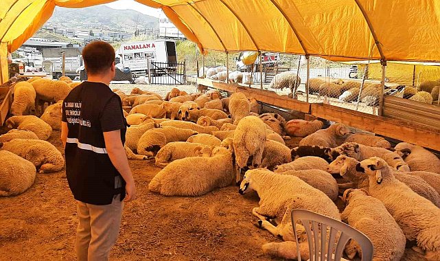 Umuma açık alanlarda kurban kesenlere ceza yağacak