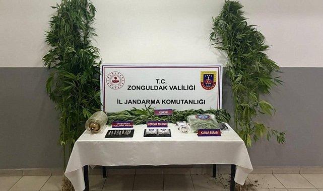 Zonguldak'ta uyuşturucu operasyonunda 1 tutuklama