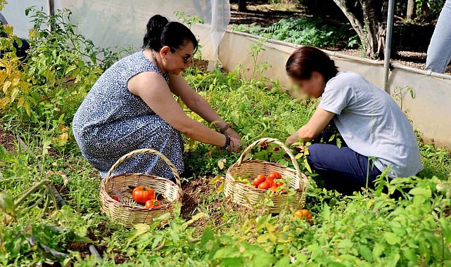 Adana'da ruh sağlığı tedavisi görenler tarımla terapi oluyor