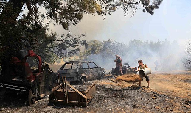 Antalya'da çıkan orman yangınında seralar büyük zarar gördü