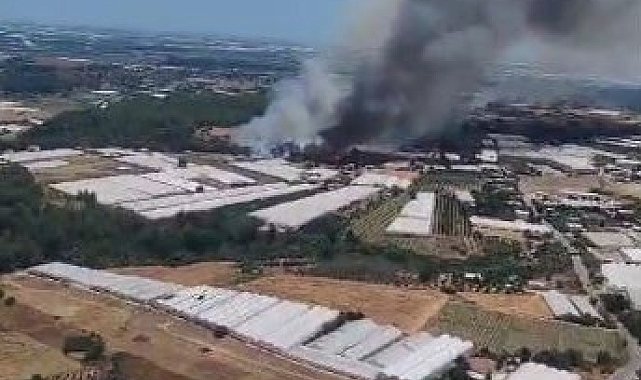 Antalya'da orman dışı otluk alanda yangın