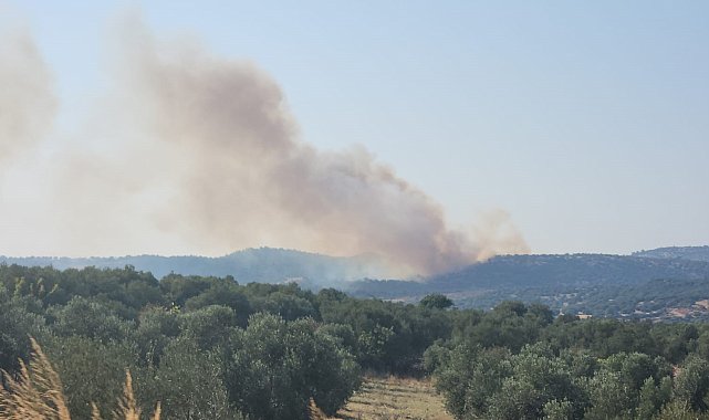 Ayvacık'ta orman yangını