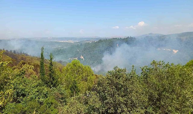 Balıkesir'deki orman yangınlarına müdahale sürüyor