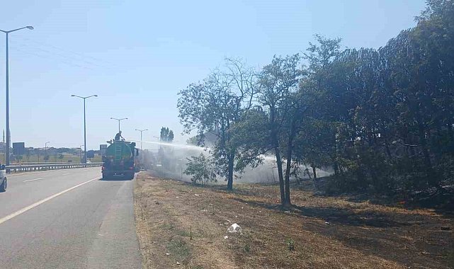 Beylikdüzü'nde otluk alandaki yangında mahsur kalan kaplumbağayı kurtarıp beslediler