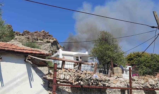 Bodrum'da makilik yangını