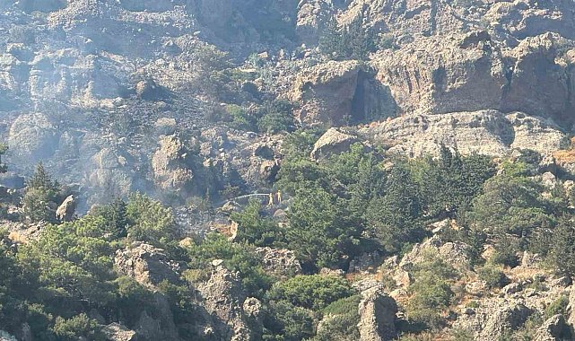 Bodrum'daki makilik yangını kontrol altına alındı