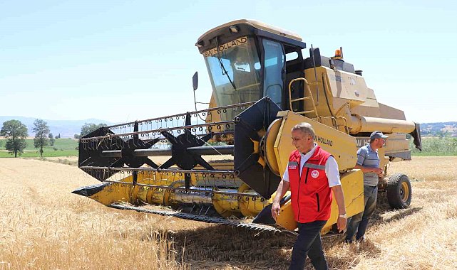 Buğdayda rekolte ve kalite arttı