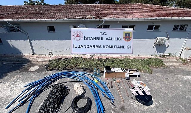 Çatalca'da ormanlık alanda kenevir yetiştiriciliği operasyonu: 6 gözaltı