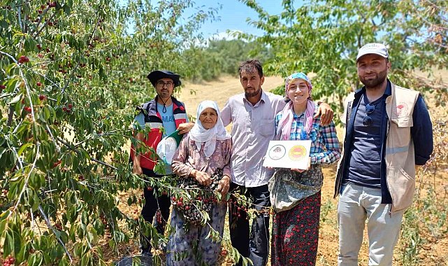 Coğrafi işaret onaylı Şaphane vişnesinin tescil ve kontrol çalışmaları