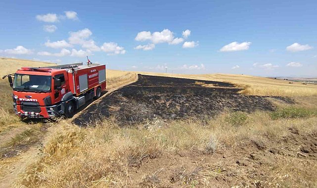 Çorum'da 15 hektar ekili arazi yangında kül oldu