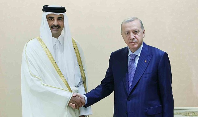 Cumhurbaşkanı Erdoğan, Katar Emiri Hamad Al Thani ile görüştü