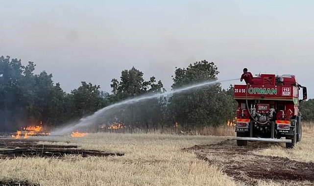 Denizli'nin Bekilli ilçesinde çıkan yangın söndürüldü