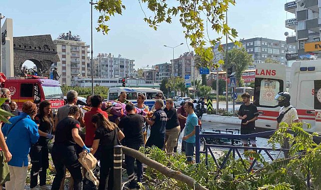 Devrilen ağacın altında kalarak yaralandı