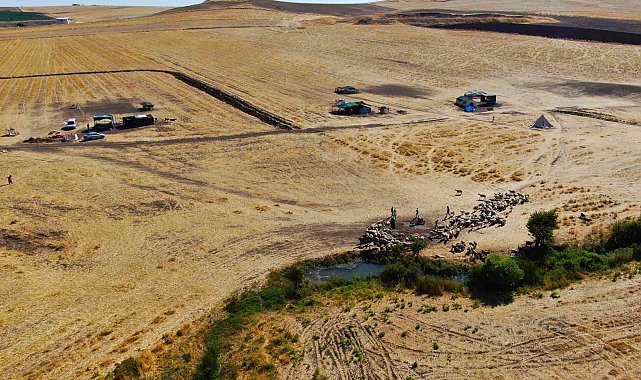 Diyarbakır'ın yaylalarında konargöçer aileler zorlu yaşamını idame ettiriyor