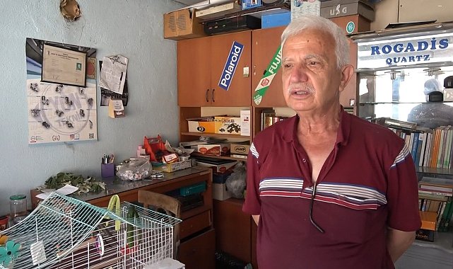 Ebabil kuşunu telef olmaktan son anda kurtardı