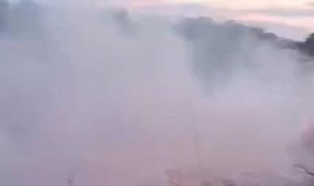 Elazığ'da otluk alanda korkutan yangın