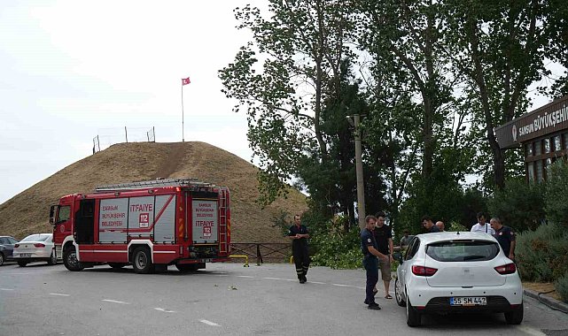 Fırtına ağacı kökünden söktü: 1 otomobil zarar gördü