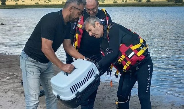 Gölette ayağına ip dolanan karabatak kurtarıldı