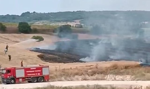 İnegöl'de buğday tarlası alevlere teslim oldu