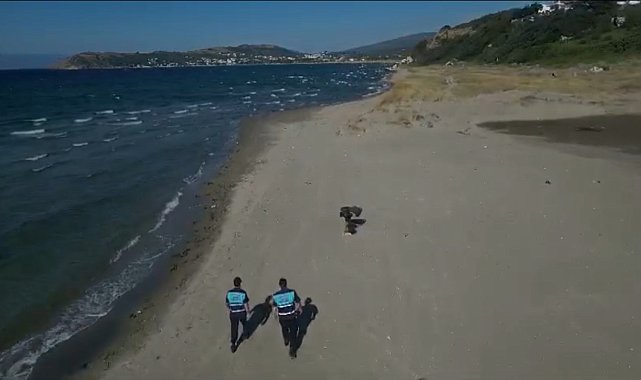 Jandarma, tatil bölgelerinde suça ve suçluya göz açtırmıyor