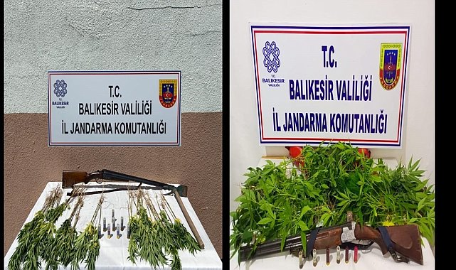 Jandarmadan kenevir operasyonu