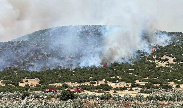 Kahramanmaraş'ta makilik alanda yangın
