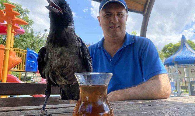 Karga, Rize çayı dışında bir şey içmiyor