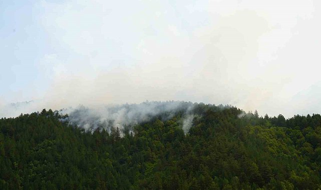 Kastamonu'da yıldırım sebebiyle çıkan orman yangına müdahale sürüyor