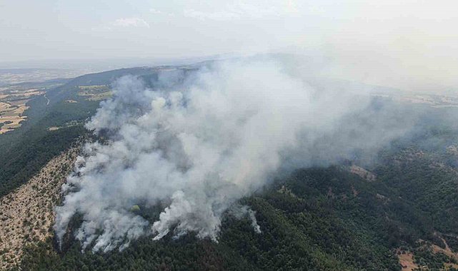 Kastamonu'daki orman yangını sürüyor: Havadan görüntülendi