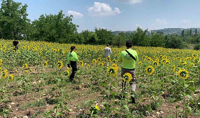 Kayıp çoban dün akşamdan beri aranıyor