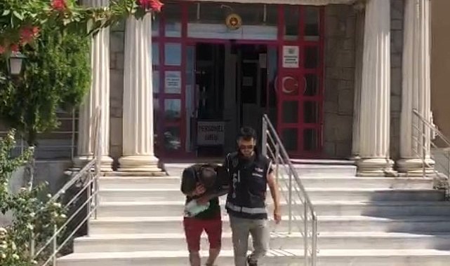 Makilik alanda Hint keneviri yetiştirdi, polisten kaçamadı