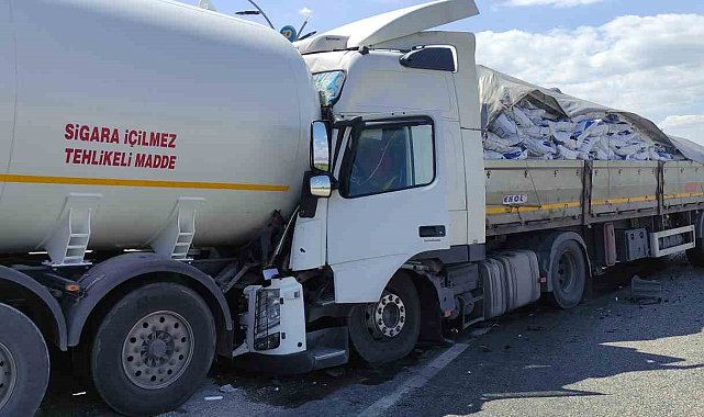 Manisa'da facianın eşiğinden dönüldü