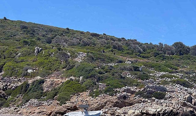 Marmaris'te 37 düzensiz göçmen yakalandı