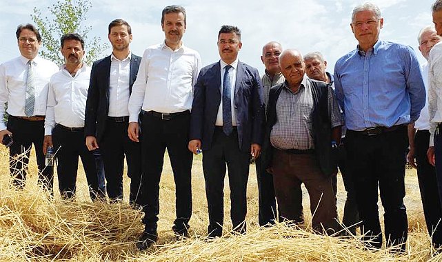 Mudanya'da hasat zamanı