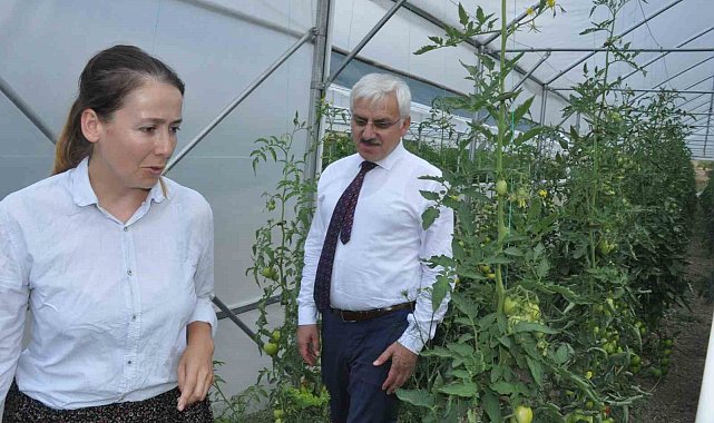 Mudurnu'da istihdam için 'Hünerli Eller Projesi'