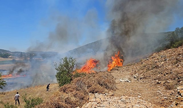 Muğla'nın Menteşe İlçesinde tarım arazisi yangını