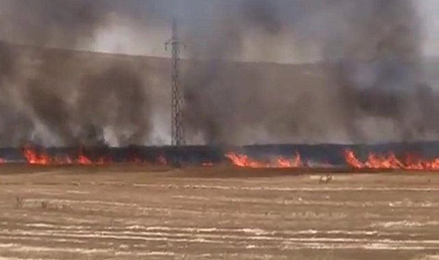 Nevşehir'de 100 dekar tarım arazisi kül oldu