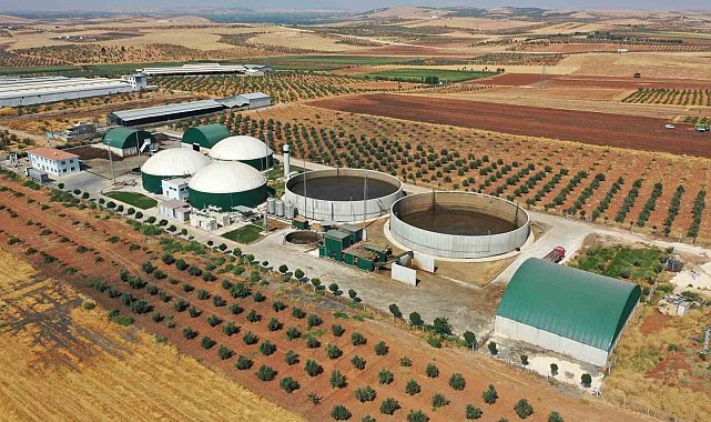 Ödüllü çevre dostu yeşil projenin etkileri sürüyor
