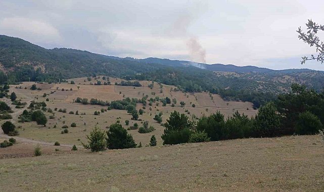 Osmancık'ta çıkan orman yangını kontrol altına alındı