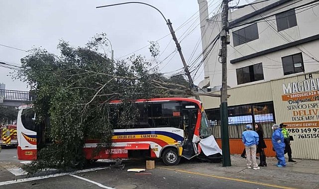 Peru'da kontrolden çıkan otobüs yaya geçidine daldı: 1 ölü, 31 yaralı