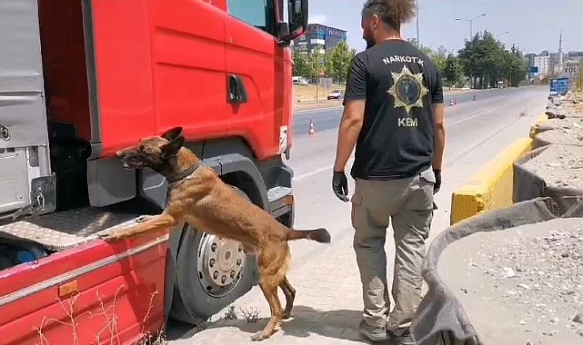 Samsun'da narkotik dedektör köpeği tırda çeşit çeşit uyuşturucu buldu