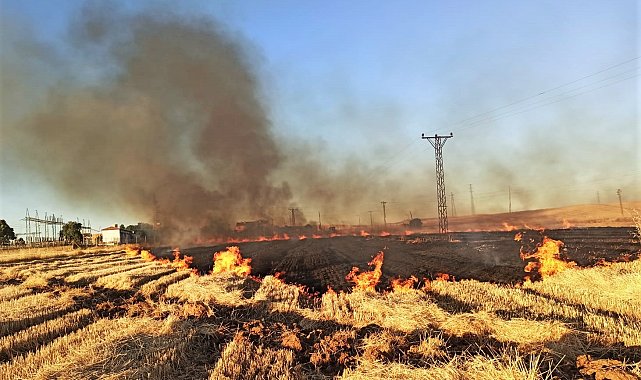 Şanlıurfa'da 16 mahalle anız yüzünden elektriksiz kaldı