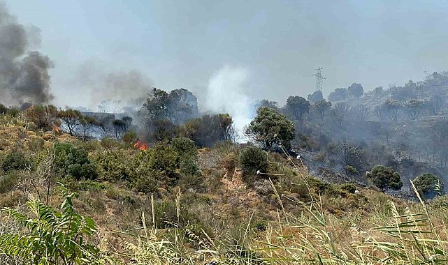 Şarköy'deki yangın kontrol altına alındı