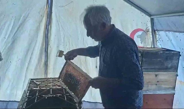Sincik'te bal hasadı başladı