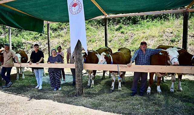 Sinop'ta 265 köylüye 40 milyon TL ferdi kredi desteği