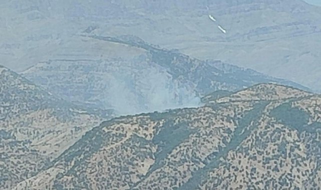 Şırnak'ta orman yangını