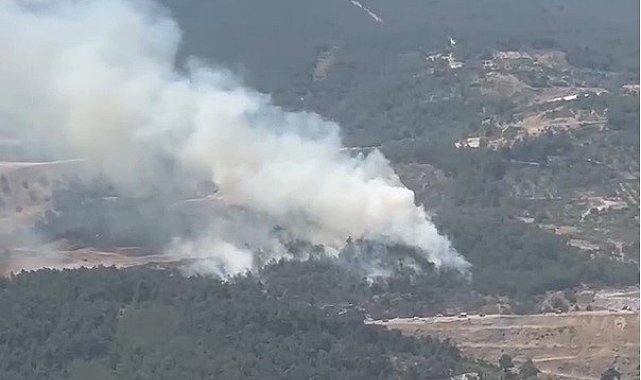Soma'da orman yangını