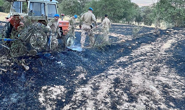 Uşak'ta iki ayrı orman yangını kontrol altına alındı